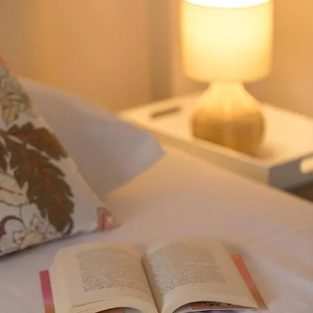 Paradise Overlook - Beachfront Holiday home *