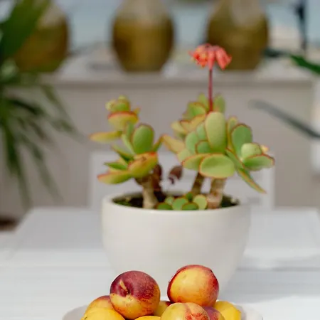 Paradise Overlook - Beachfront Pefkochori